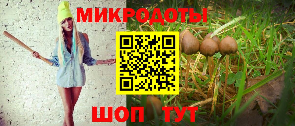 Галлюциногенные грибы Cubensis  Вход с VPN  Пугачёв 