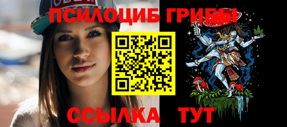 Псилоцибиновые грибы GOLDEN TEACHER Пугачёв
